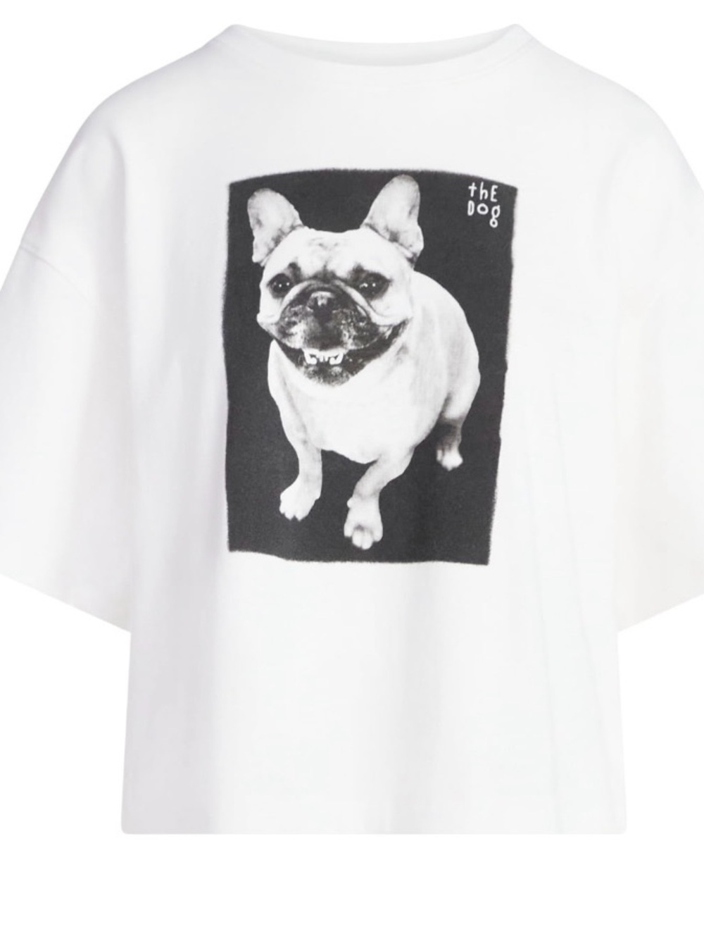 Scoop Women’s Cotton Cropped Tee/Size XL
